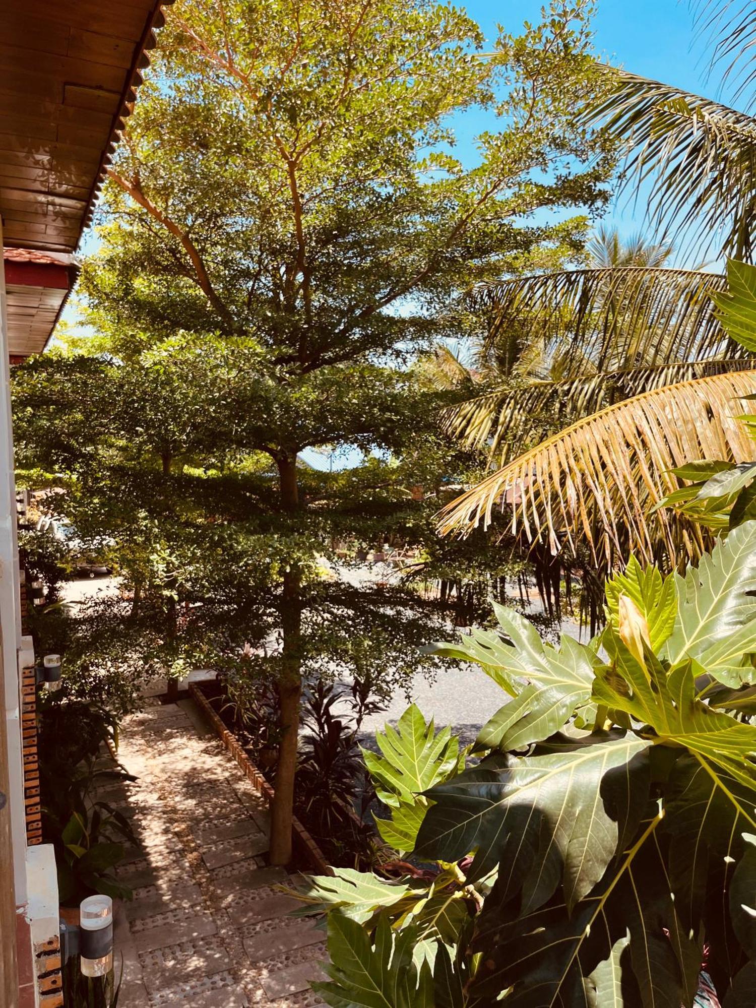 Coconut Lodge Kampot Eksteriør billede