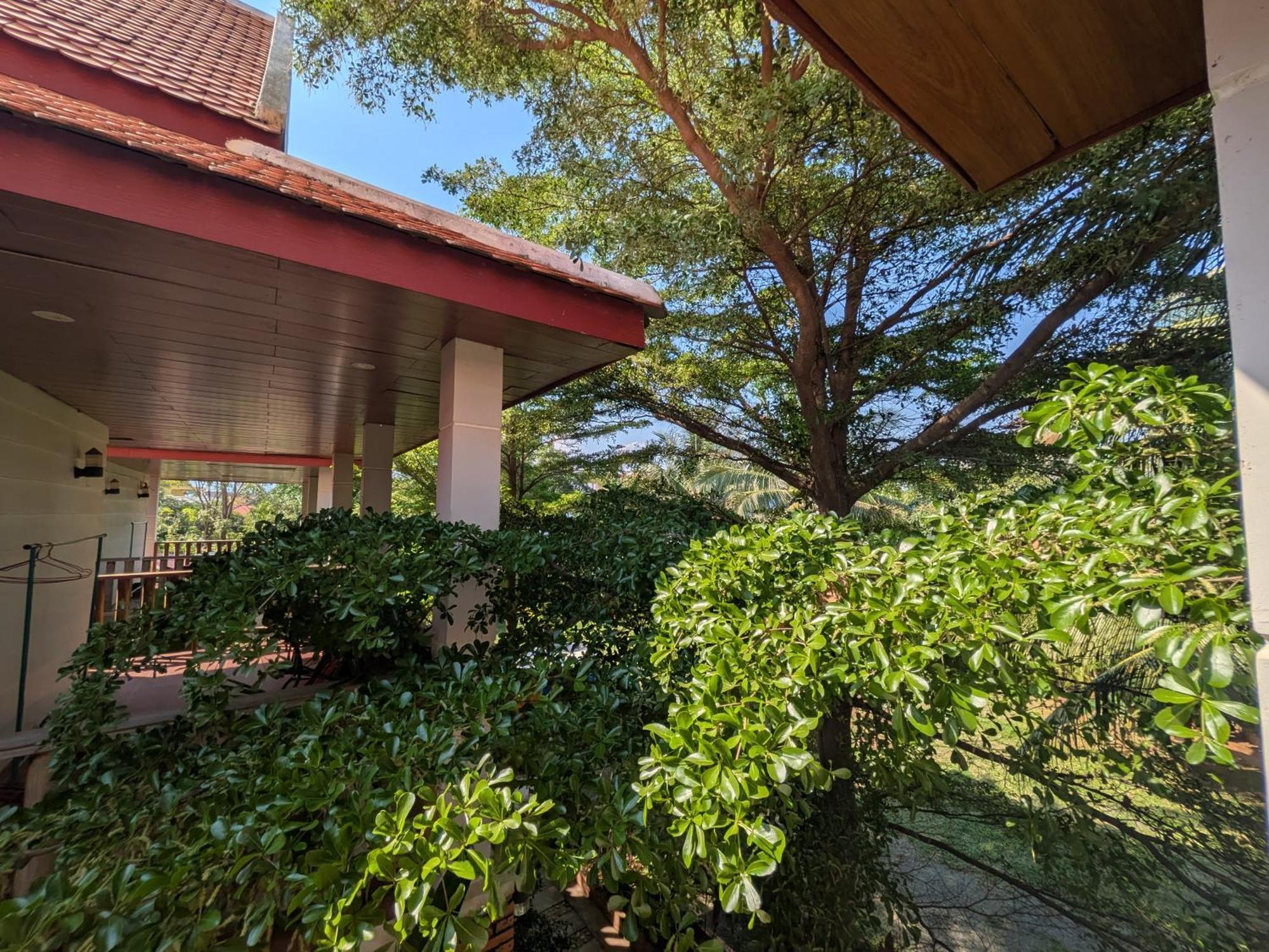 Coconut Lodge Kampot Eksteriør billede